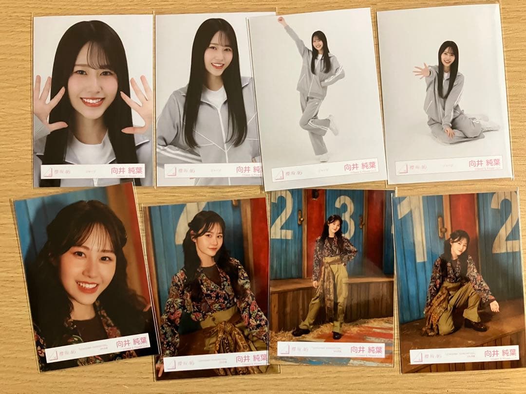 櫻坂46 生写真　向井5コンプ