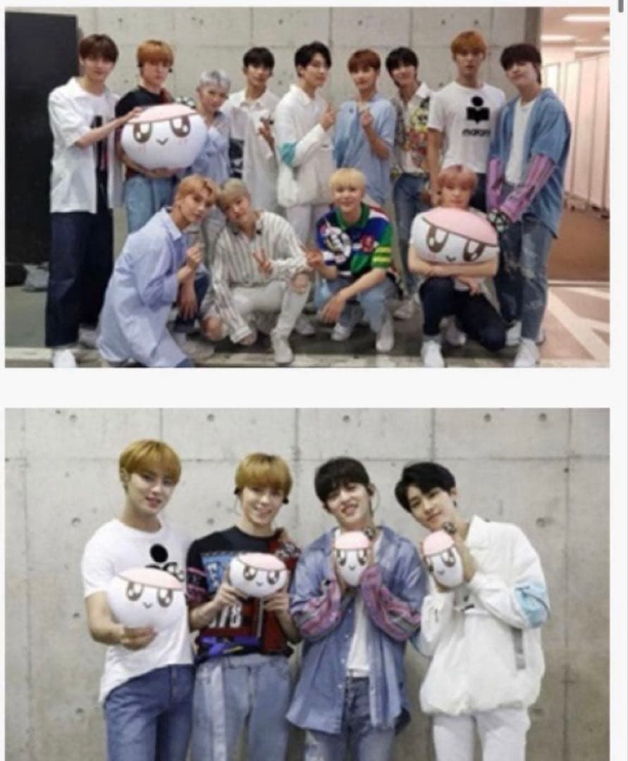 希少　メガボンボンイ　ボンボンイ　ビーズクッション セット　SEVENTEEN