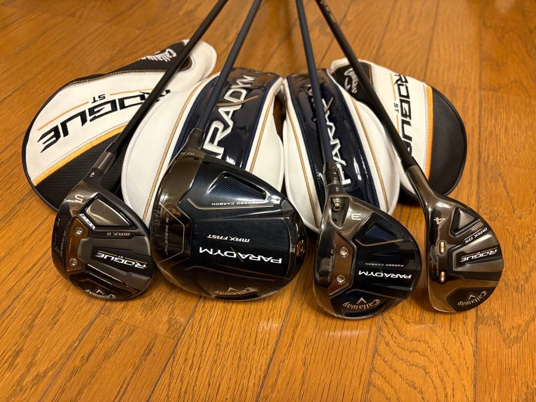 【超激安】①PARADYM〜ROGUE ST（9本）+おまけ（PT&WG2本等）