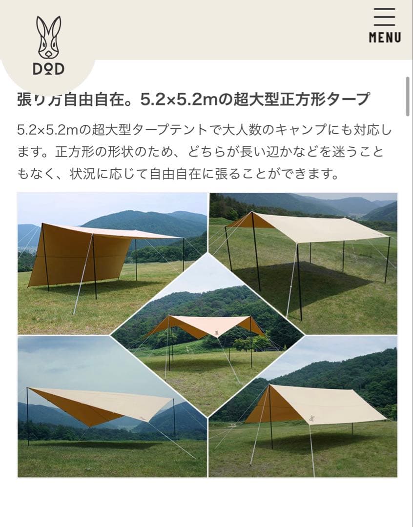 DOD チーズタープM おまけ付き