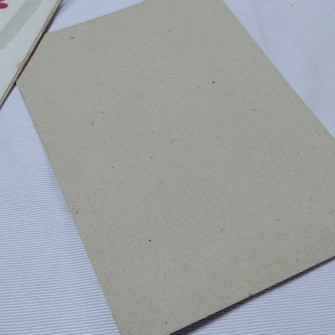 銭単位　年賀切手シート　応挙のトラ　タトゥ付応挙の虎