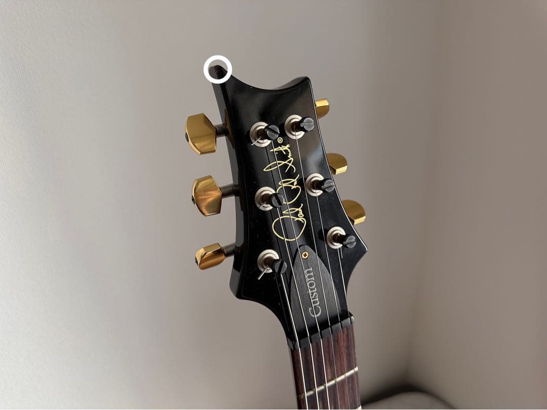 lunazou（PRS custom 24 Emerald 2013）