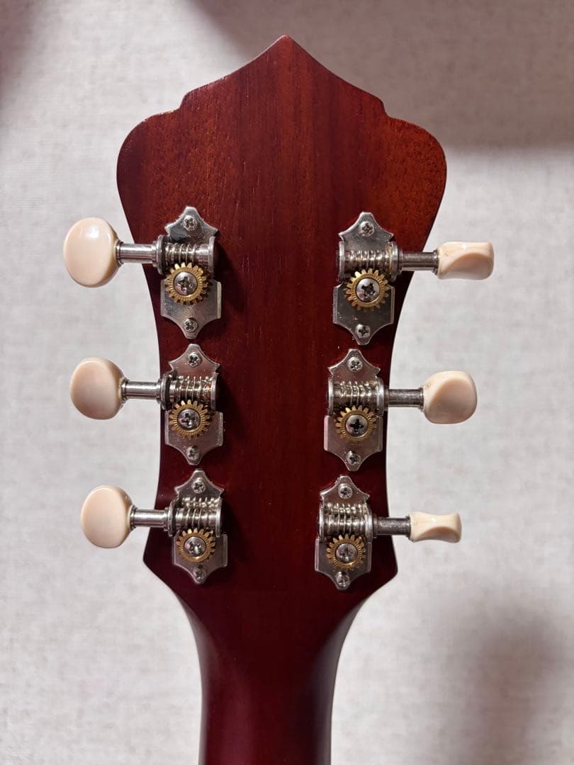 オール単板Recording King ドレッド　エレアコースティックギター