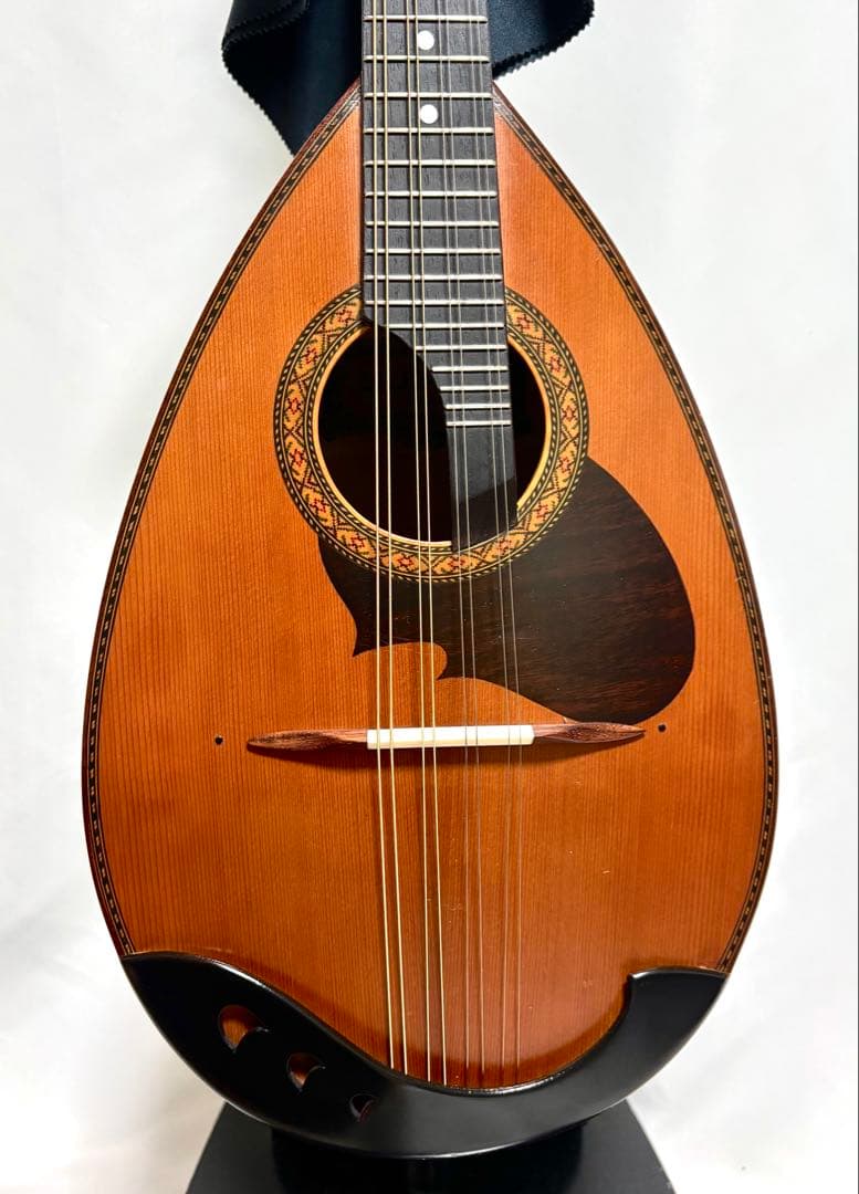 【新品弦張替済】SUZUKI マンドリン M-210 チューナー/ケース