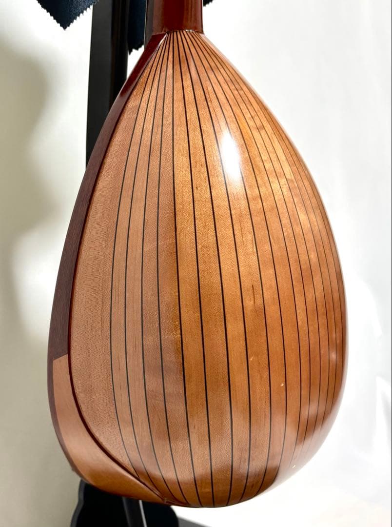 【新品弦張替済】SUZUKI マンドリン M-210 チューナー/ケース