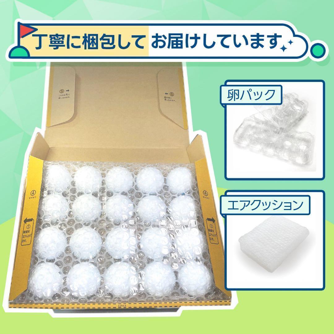 ロストボール テーラーメイド TP5X ゴルフ Sランク 31 20球 おまけ付