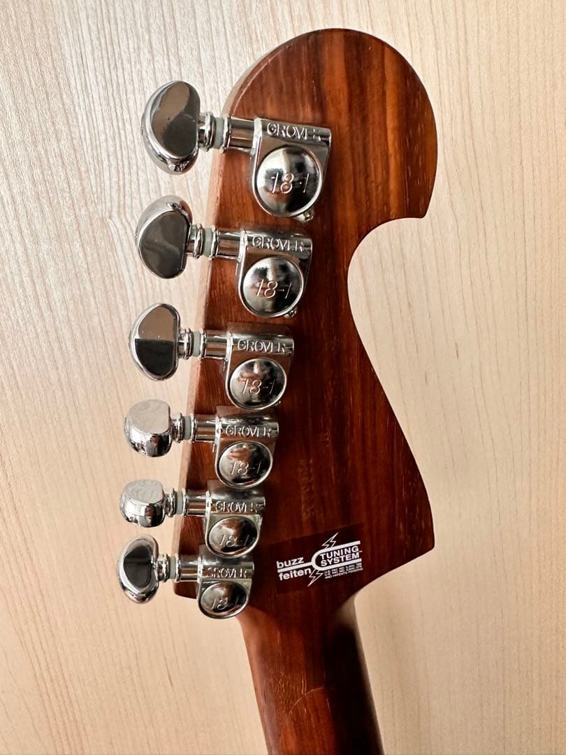 ギター Washburn N4 PADAUK