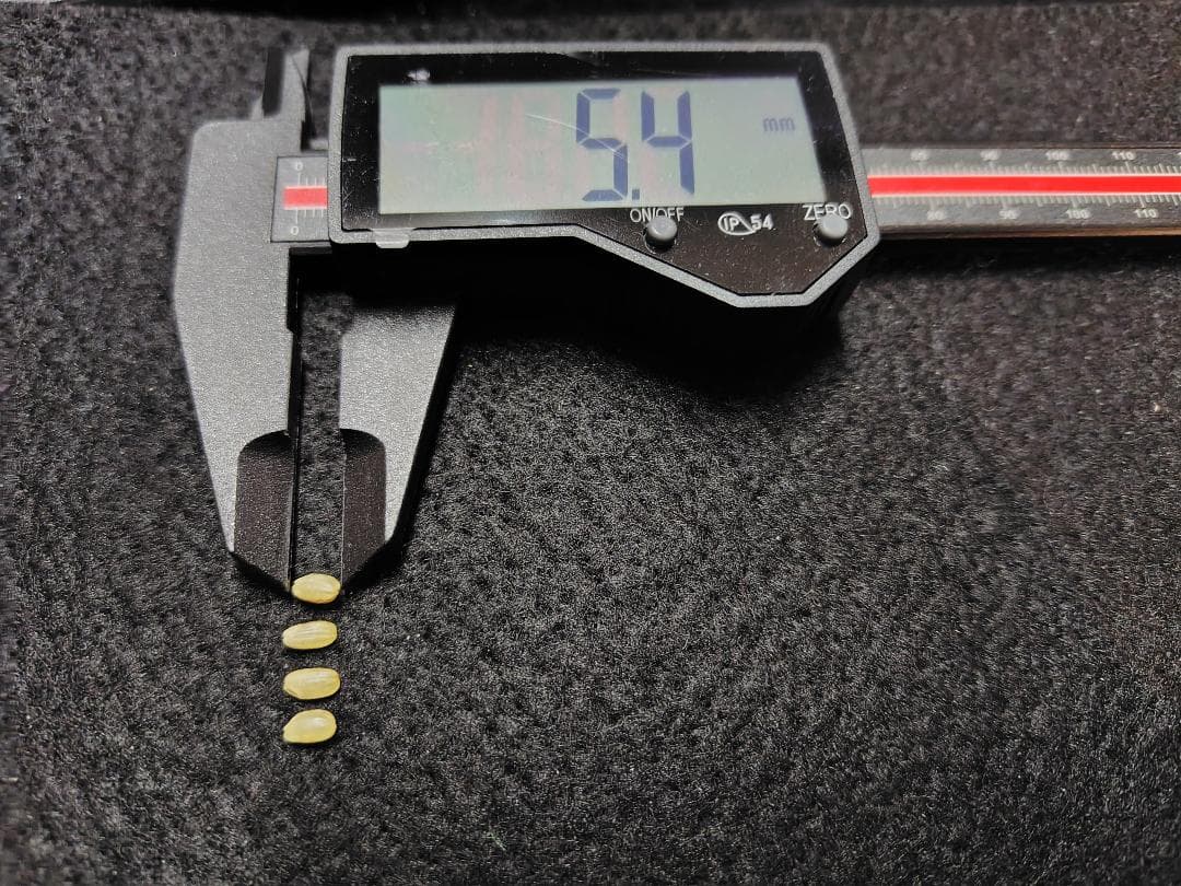 【令和7年度産】西条の名水で育てたお米 にじのきらめき 新米玄米 10kg