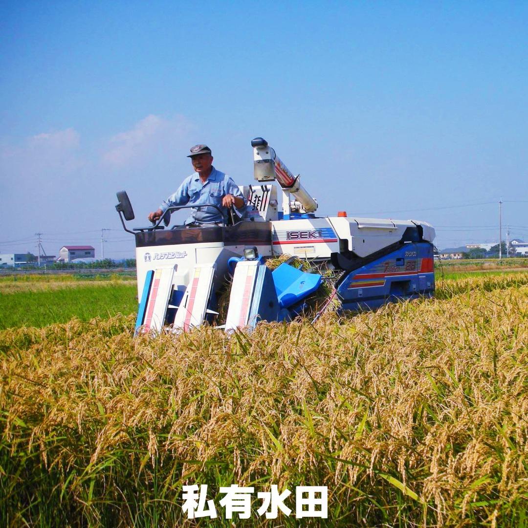 【令和7年度産】西条の名水で育てたお米 にじのきらめき 新米玄米 10kg