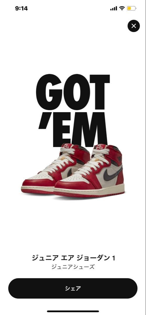 シューズ(女性用) Nike Air Jordan 1 High OG Lost & Found