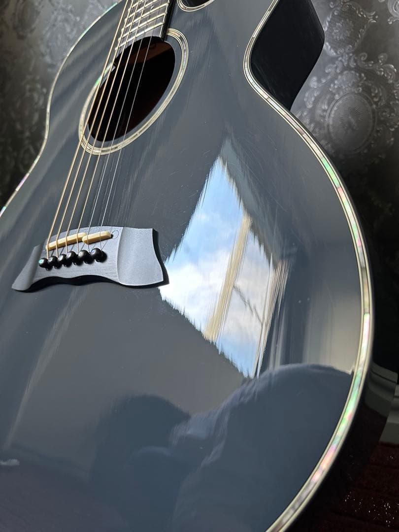 【希少】takamine LTD 2019 moon エレアコ