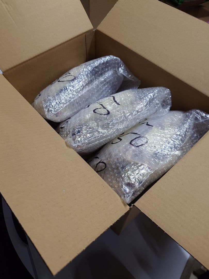 冷凍ラット 300g以上 30匹セット