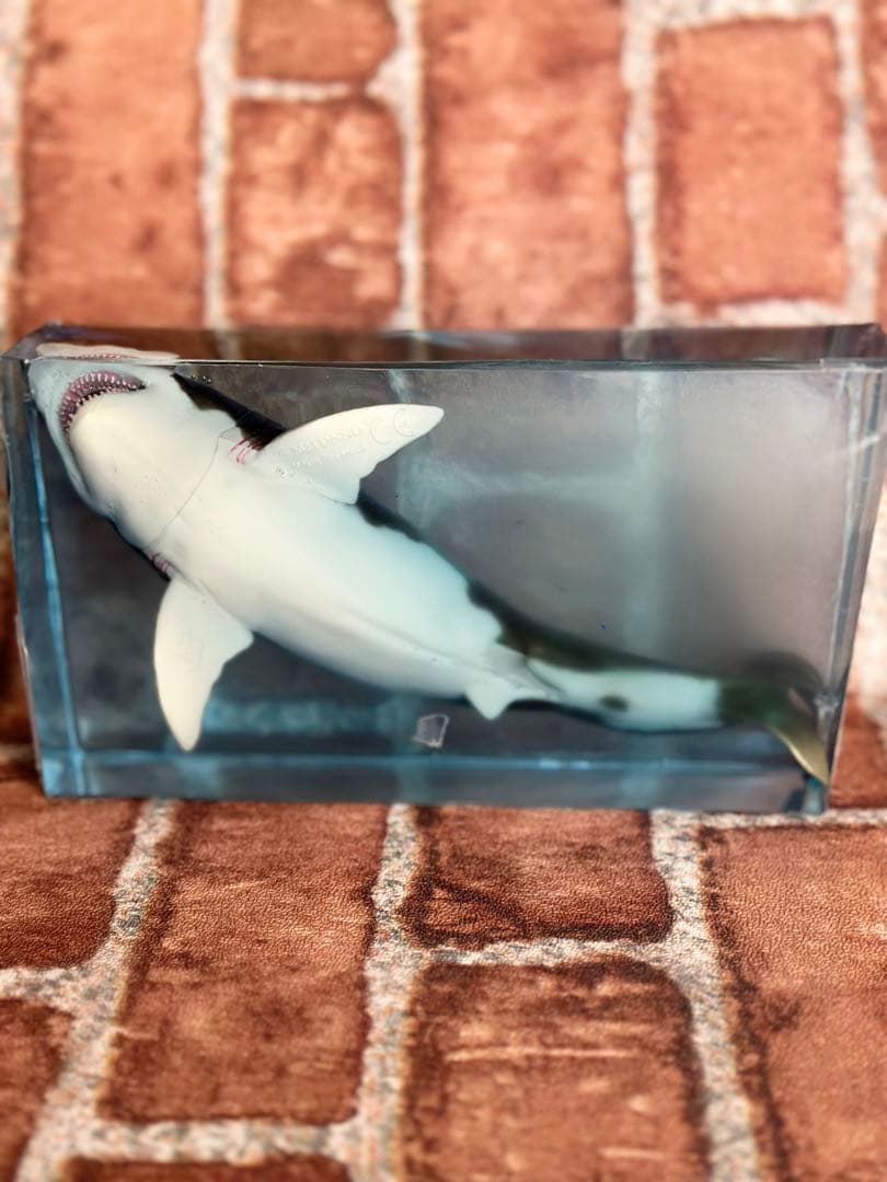 サメ　鮫　jaws ジョーズ　レジン　リアル　映画　洋画