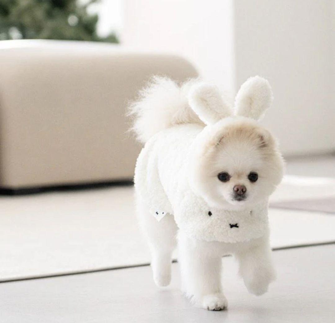 noutti × Miffyコラボの冬のお散歩にぴったりのポンチョ L 試着のみ