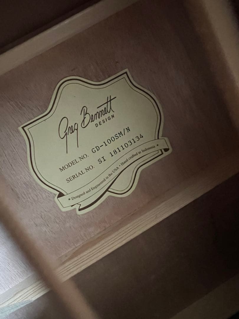 Greg bennett gd-100sm/n アコースティックギター