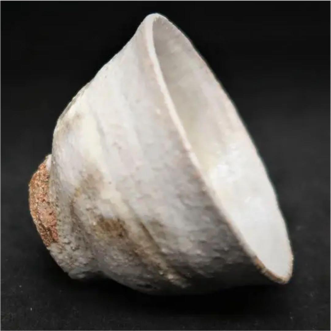 ぐい呑み（酒杯／お猪口）作家物　久岡冬彦作　奈良県　天風窯