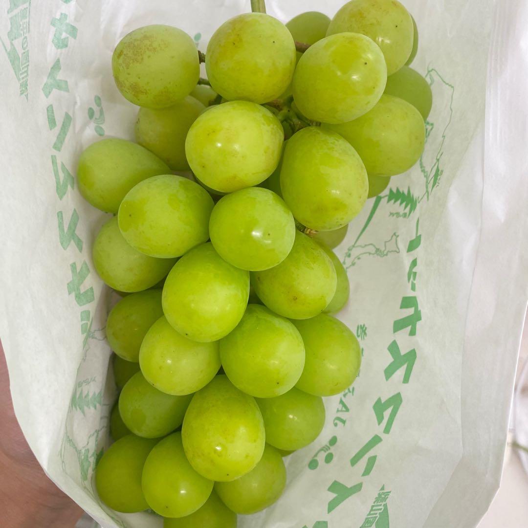 山梨県産　訳あり　家庭用　シャインマスカット　8房　箱込み5.3kg ⑪