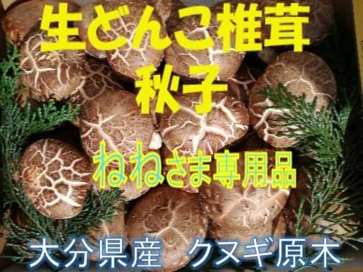 ねねさまご予約専用 大分県特産 生どんこ椎茸「秋子」ダブル 1st