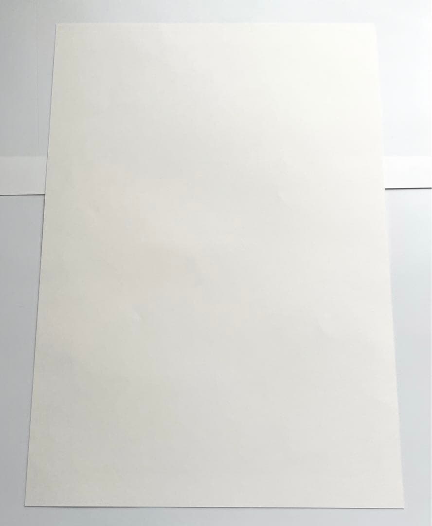 吸血鬼すぐ死ぬ　ドラルク　ロナルド　ジョン　複製原画　封筒つき