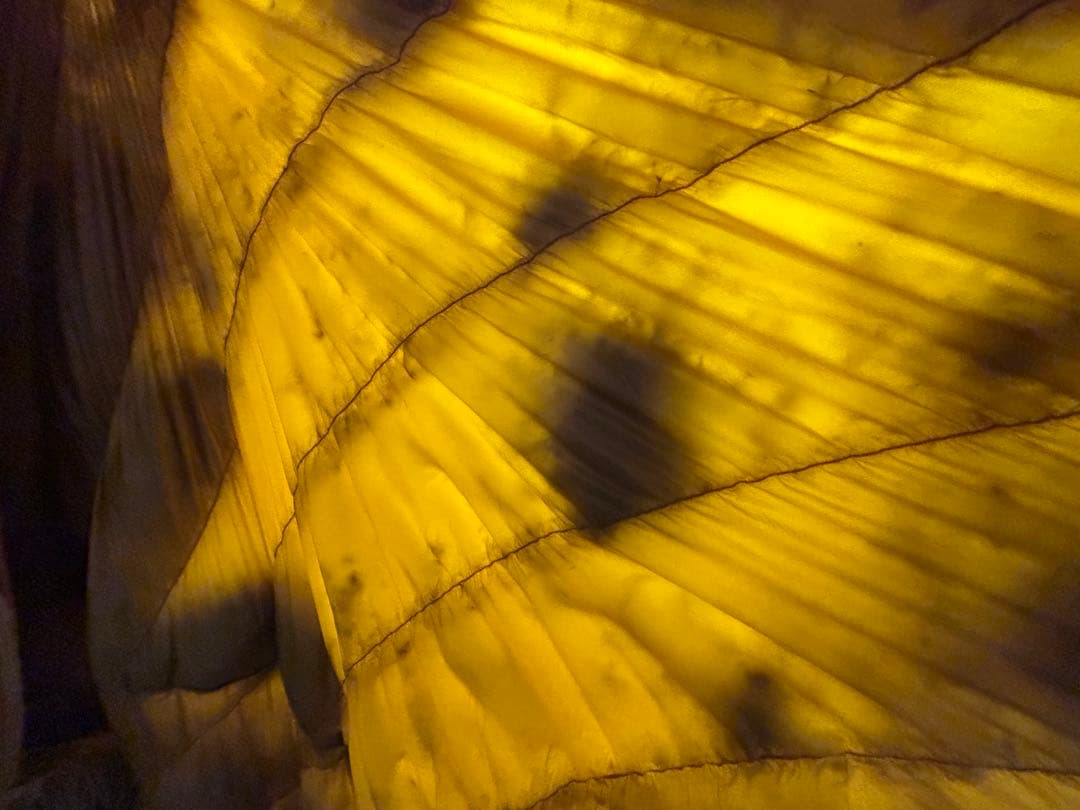 シュラフ・寝袋　モンベル　シームレスダウンハガー 800 #2