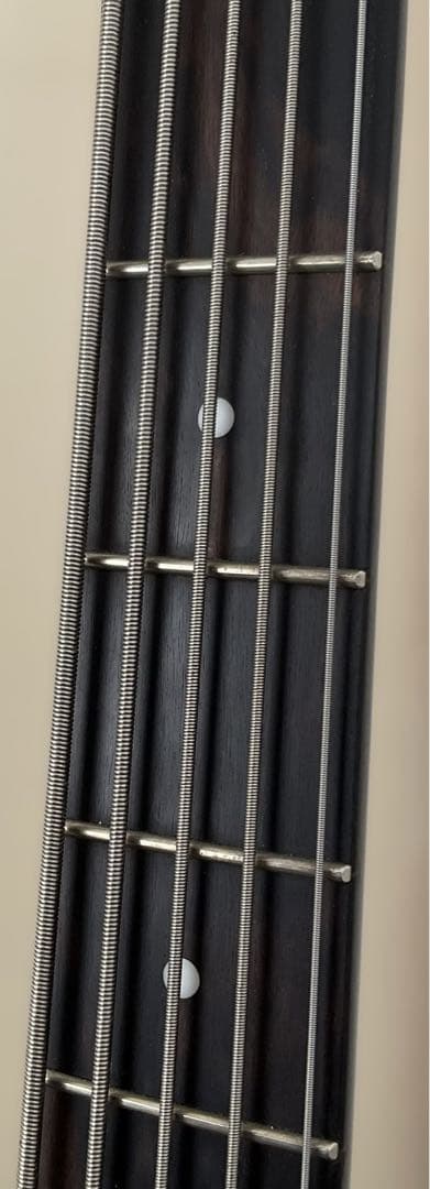 【送料込最終】Spector 5弦ベース【ストラップおまけ】