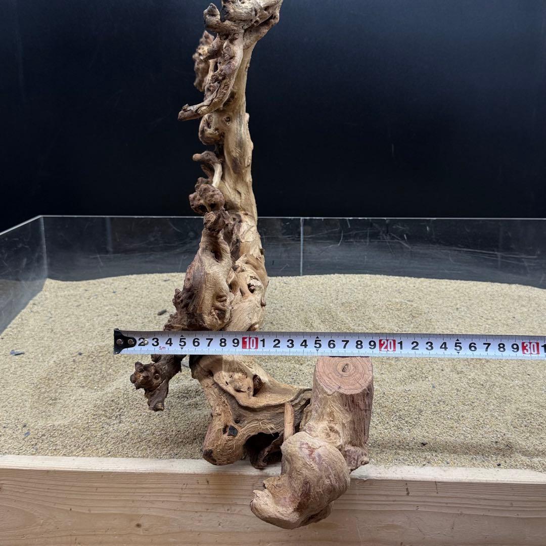 MSW-7083 天然流木 一点物　枝流木　アクアリウム