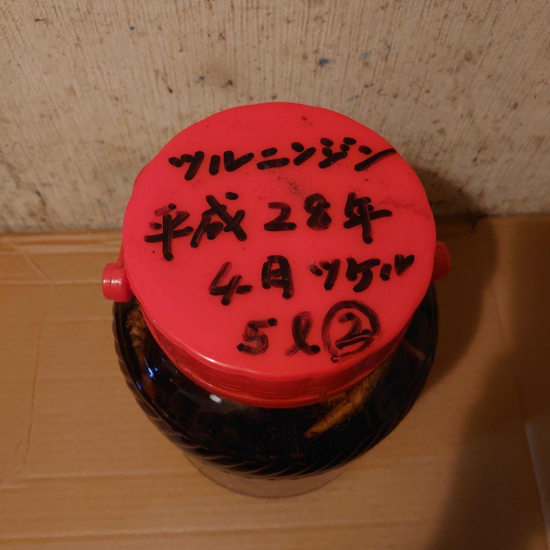 大阪府生駒山系信貴山の天然物ツルニンジン酒 5 Ｌ入り