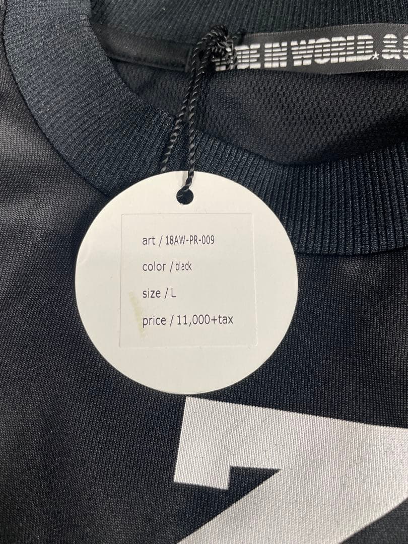 PRIDE RUN Tシャツ サイズＬ日本製