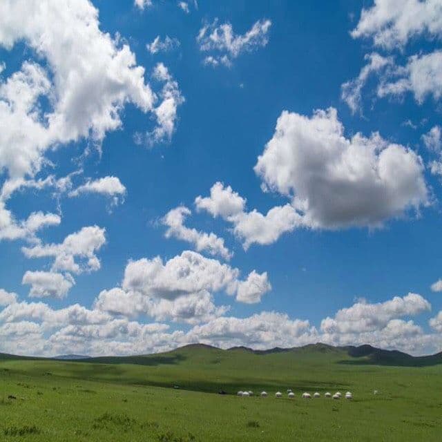 天然純粋はちみつ100%菩提樹の蜂蜜32本☆送料無料☆