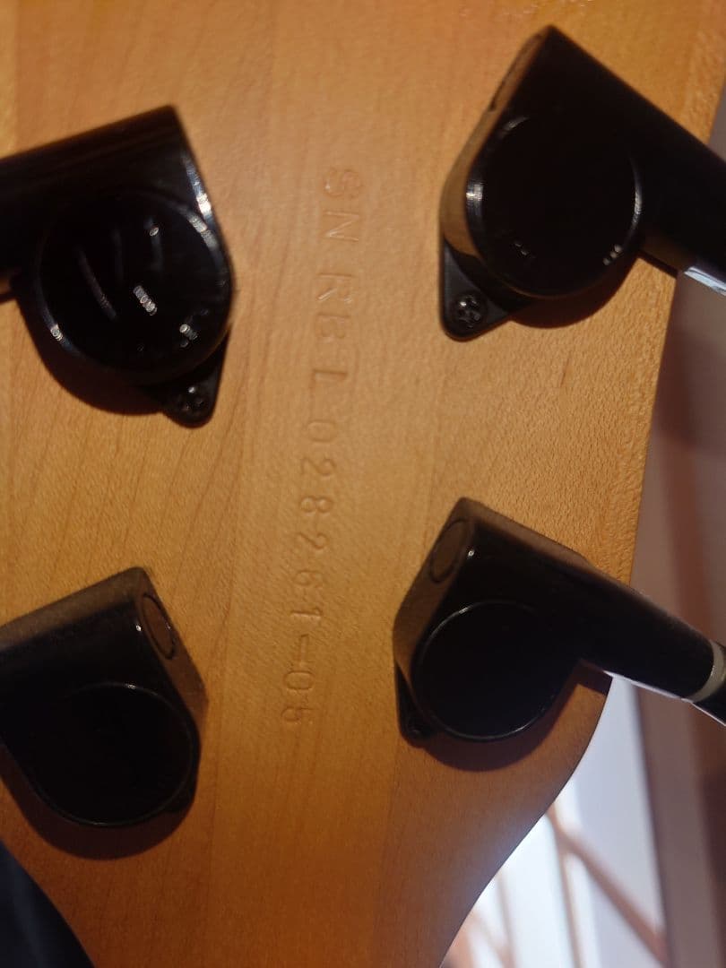 Warwick RockBass Fortress　エレキベース