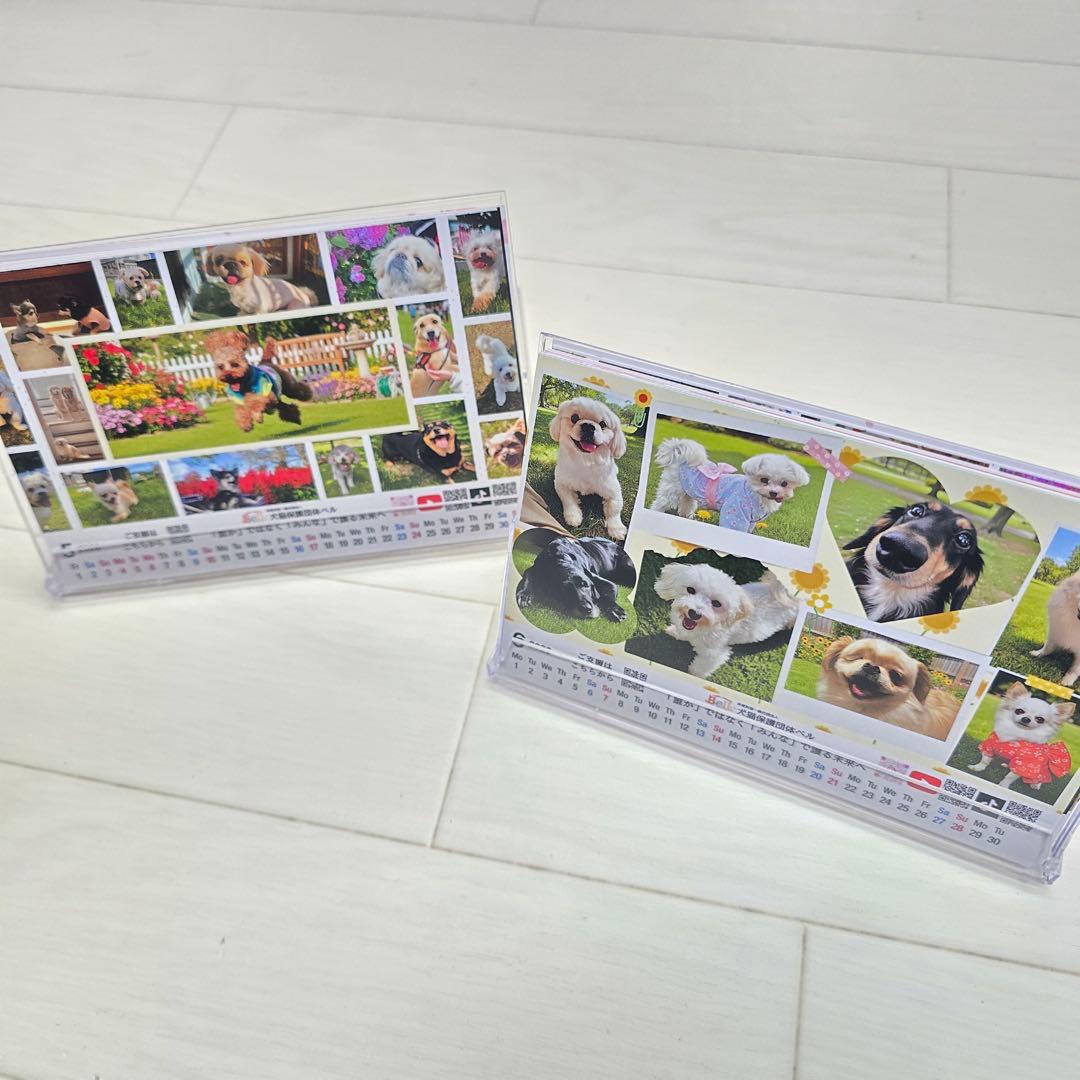 ③『犬』 卓上チャリティーカレンダー10枚セット