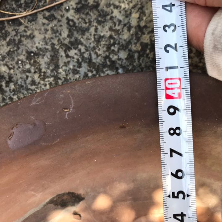 盆栽鉢　超希少レア時代朱泥大盆栽鉢落款木肌松皮中国山野草寄せ植え植木鉢松篁円