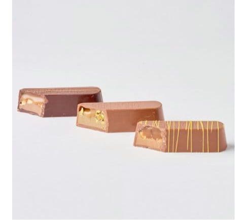 サロンデュショコラ 【ベルナシオン】コフレ ブッシュ 3個入り