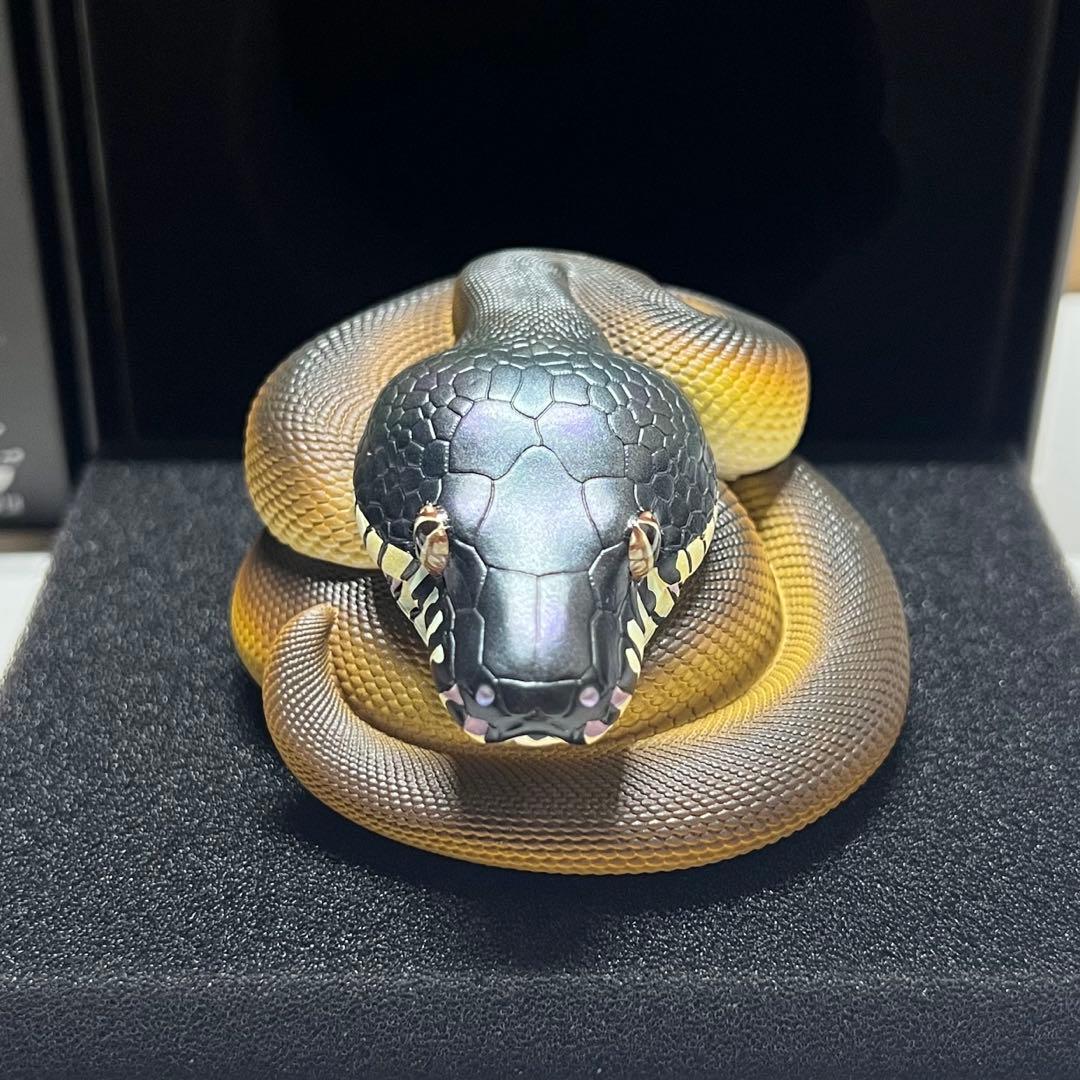 動物の惑星　レア　シロクチニシキヘビ