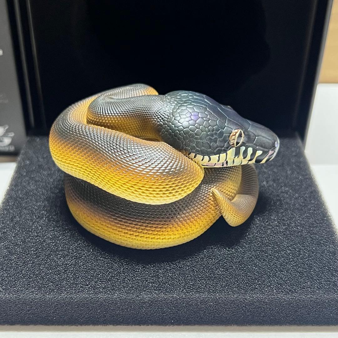 動物の惑星　レア　シロクチニシキヘビ