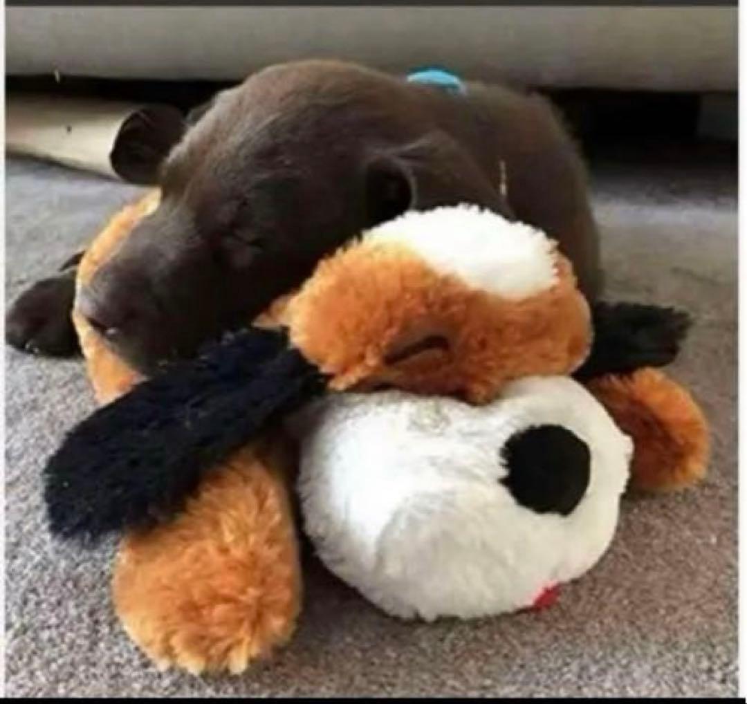 オ-エフティ- コンパニマル ブルドック