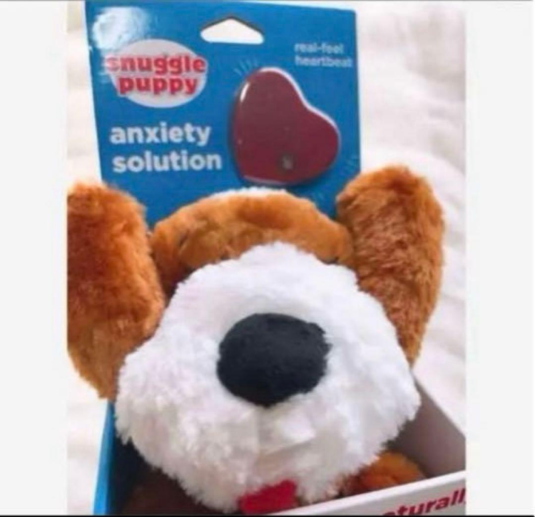 オ-エフティ- コンパニマル ブルドック