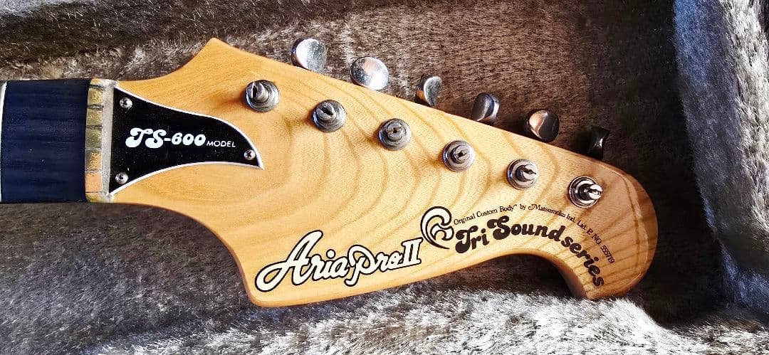 Aria pro Ⅱ TS-600 エレキギター