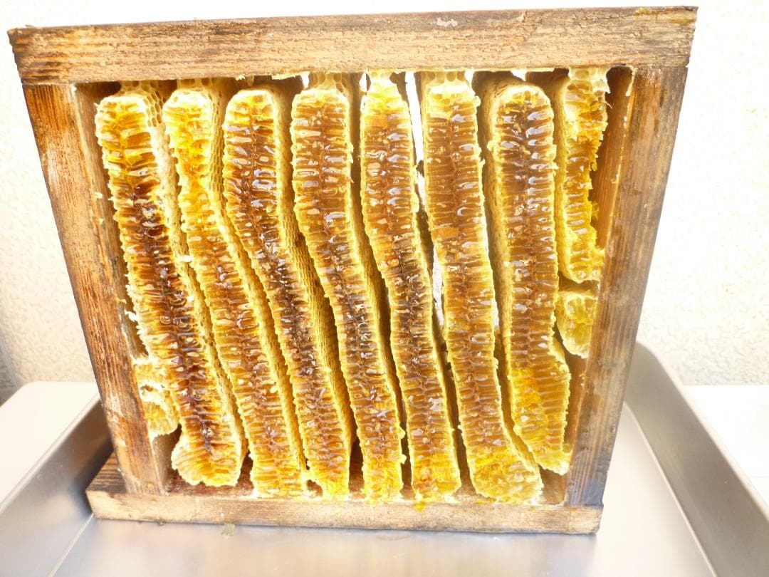 安心の日本みつばち 芳醇 糖度81％ 優良品 非加熱 秋はちみつ1,100g