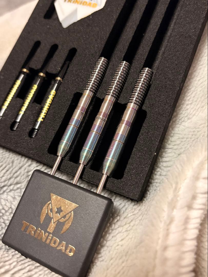 【おまけ付き】ヒューゴリョン　hugotype2 スティール