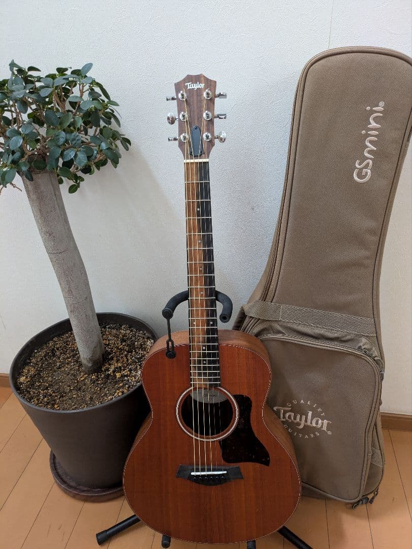 Taylor GS Mini　Mahogany【2022製】
