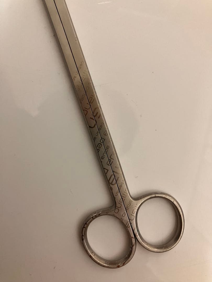 ADA 2015限定柄プロシザース S ストレートタイプ