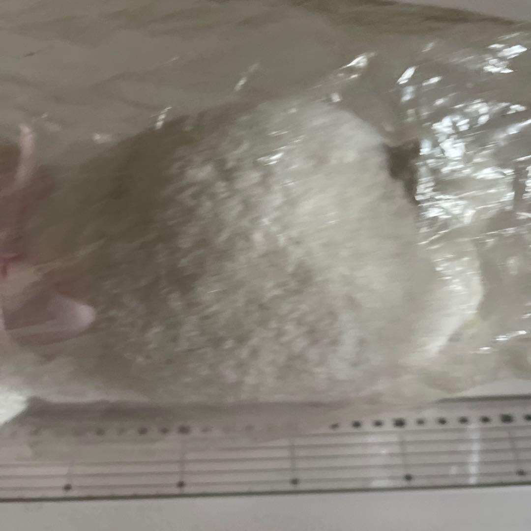 453  ひつじのぬいぐるみ