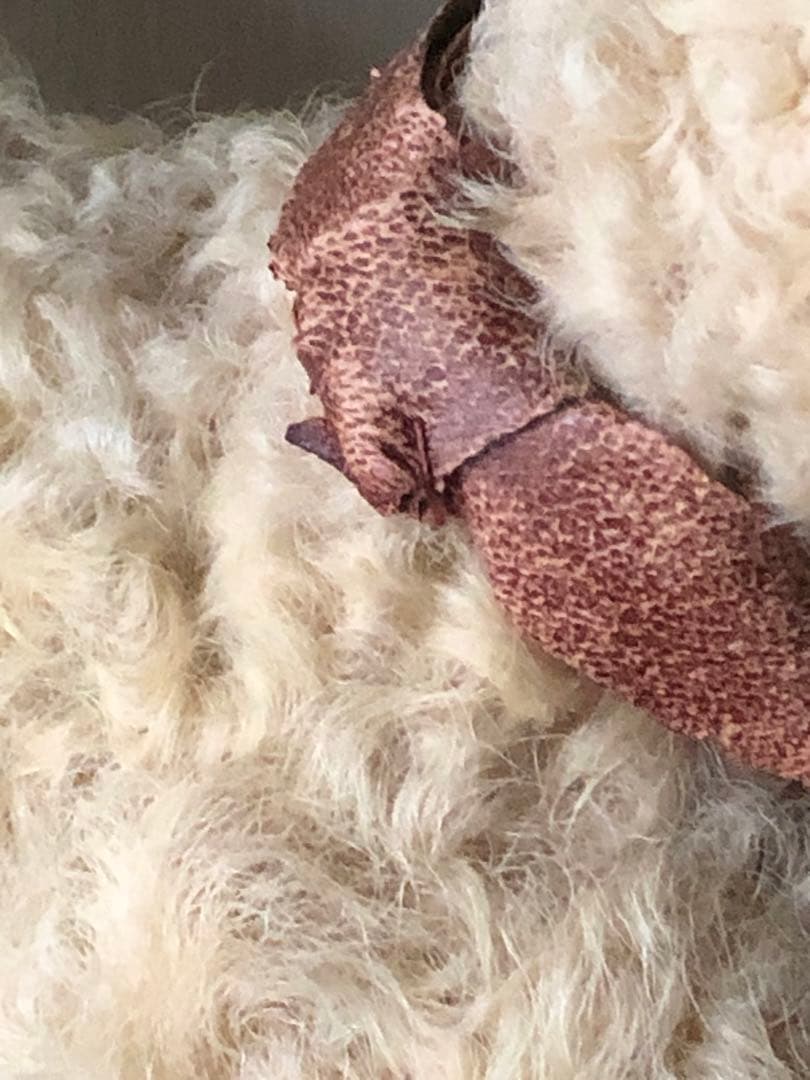 ■フランス■アンティーク■羊■モヘア羊■紙ものリースおまけつき■