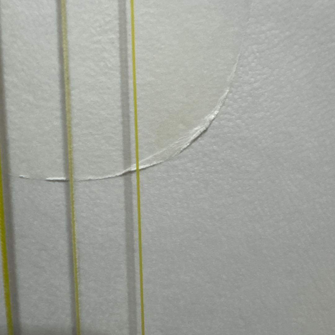 三味線　和楽器　バチ　べっこう風 撥　弦　駒　ハードケース