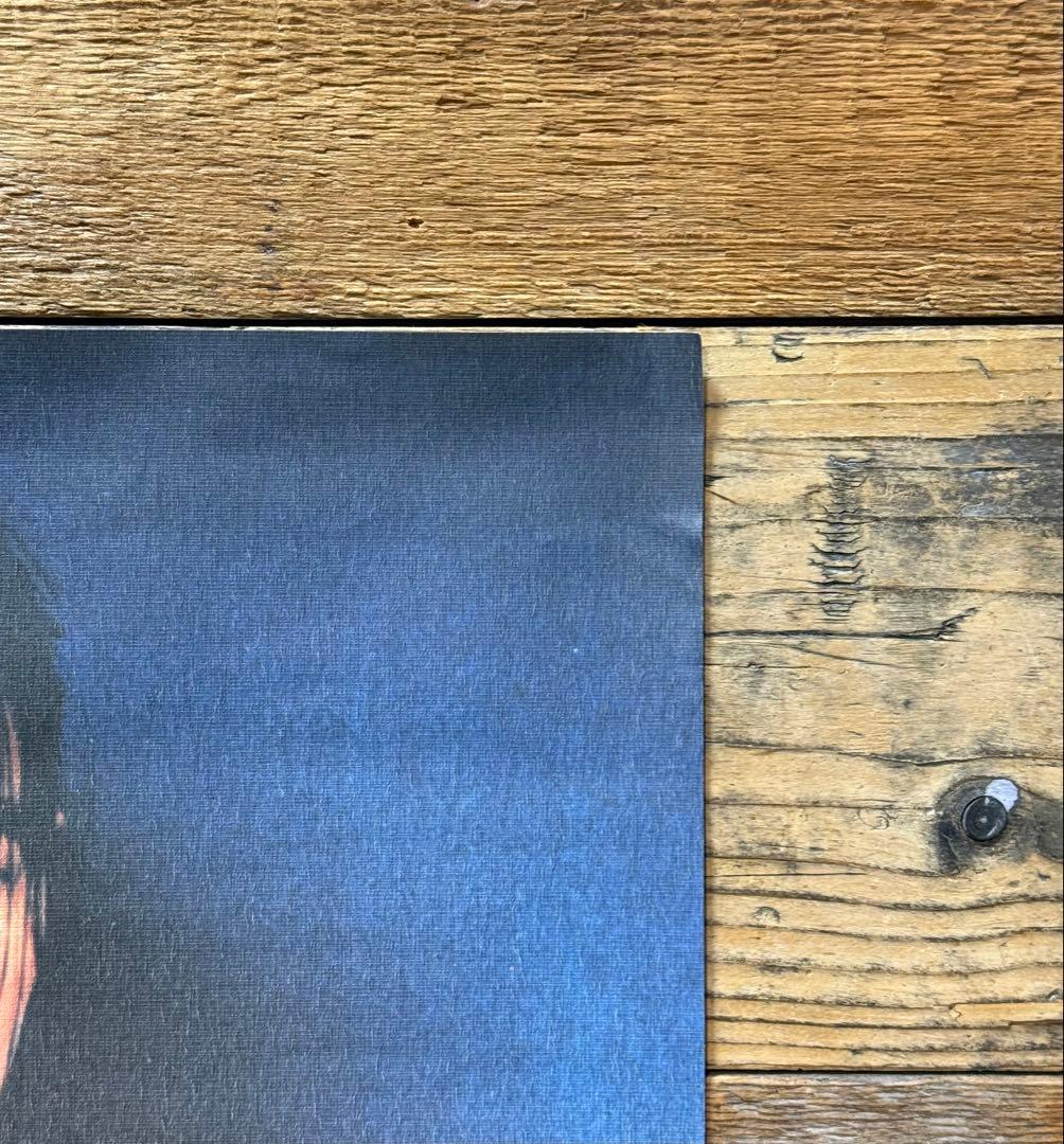 【非売品】　Björk ビョーク　DEBUT デビュー　B3ポスター　プロモ