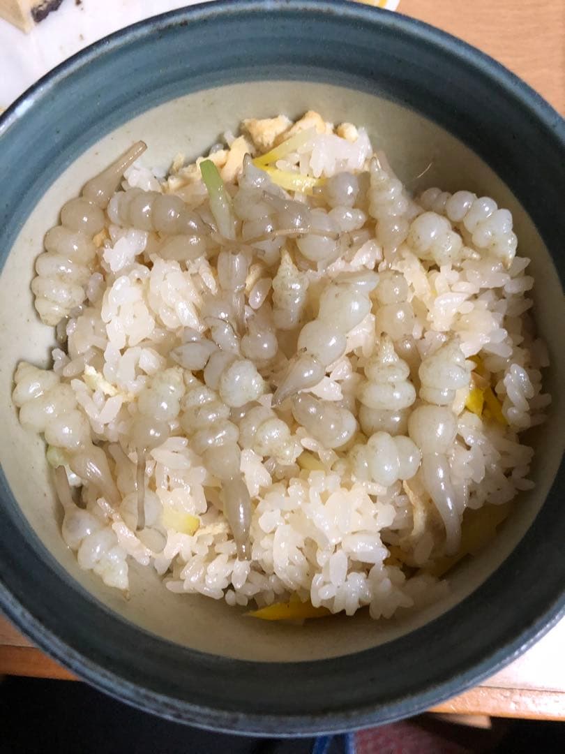 ちょろぎ2kg 珍しい生のちょろぎを採りたてでお届け※種芋にもなります#03