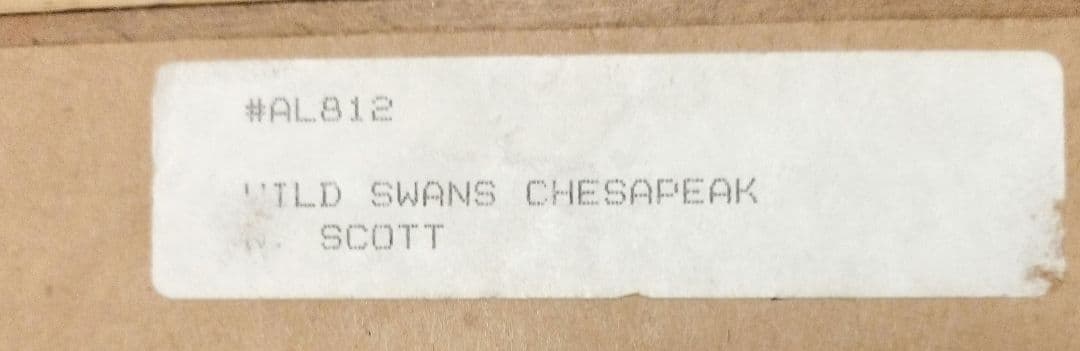 Jane Wooster Scott リトグラフ「チェサピークの野生の白鳥」