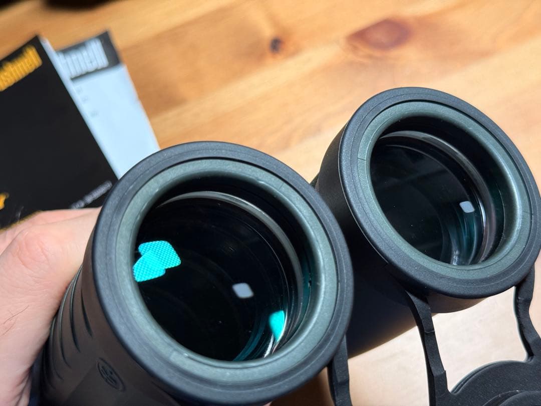 望遠鏡 双眼鏡 10倍 Bushnell TROPHY XLT 10×42mm