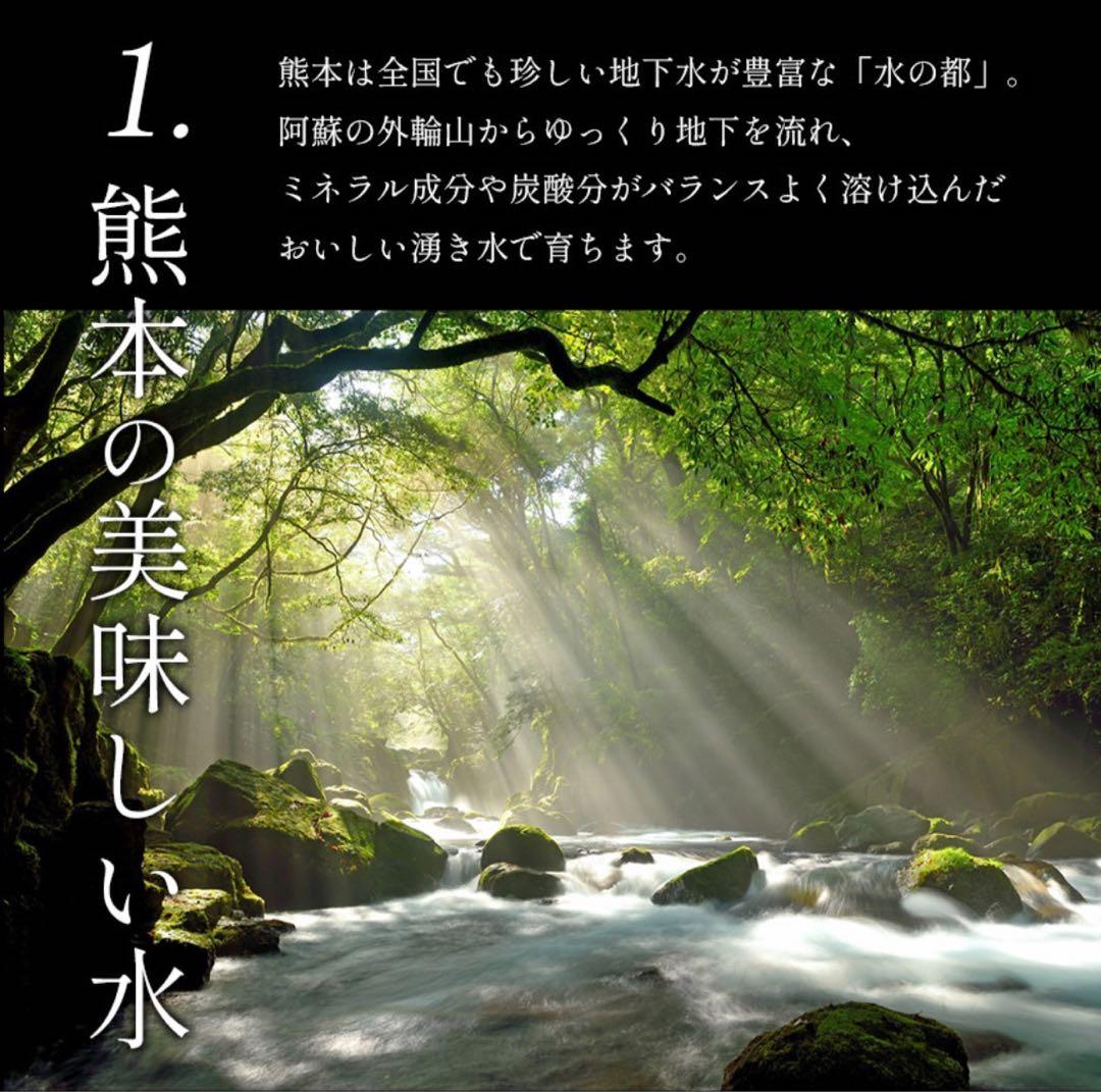 ミニトマト　10キロ　野菜　熊本　おやつ　弁当　おかず　ミネラル　リコピン
